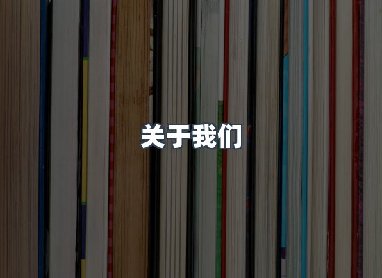专业团队